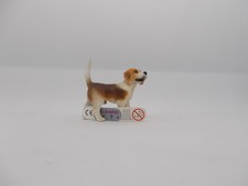 Hund Hunde = 65424 Beagle
