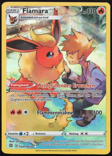Pokemon flamara trainer - pokemon,