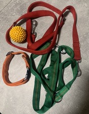 2 Hundeleinen Je 2m Und 1 Hundehalsband Jeweils Für Große Hunde