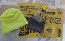 BvB Borussia Dortmund 09