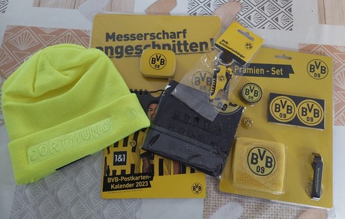 Bvb borussia dortmund - borussia, 09