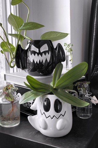 Killstar blumentopf set - blumentopf,