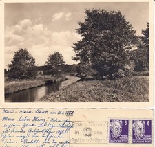AK mit Bach, Weiden und Büschen, datiert Karl-Marx-Stadt 1953 s/w