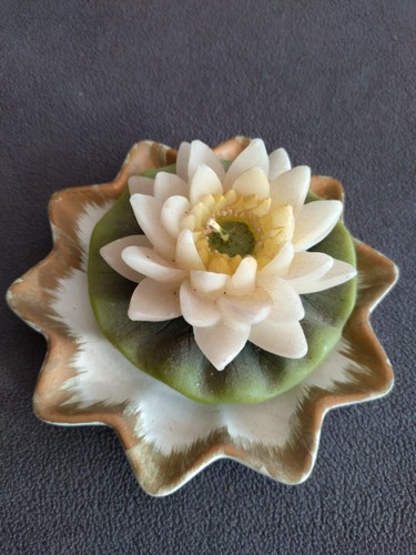 Dekorative kerze seerose auf - dekorative,