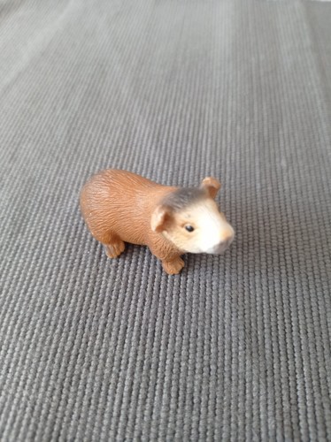 Meerschweinchen schleich - meerschweinchen-,