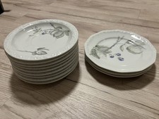 12 kleine Teller Rosenthal