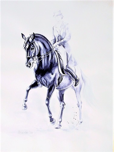 Trakehner bild dressurstudie - bild,