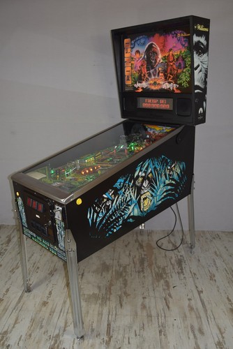 Congo flipper williams - flipper,