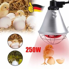 Rotlichtlampe Infrarot Lampe