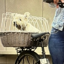 Hundekorb von Aumüller Neupr. 133 €  für 1, 2 oder 3 Hunde geeignet. Hundebox 