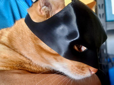 BatCat Maske™ - Das Original