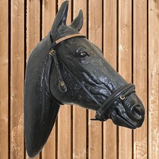 Busse Trense Combined Strass