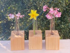 Blumenvase mit Reagenzglas