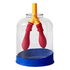 Lungenfunktion Modell