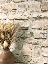 NEWROOM Vliestapete Creme