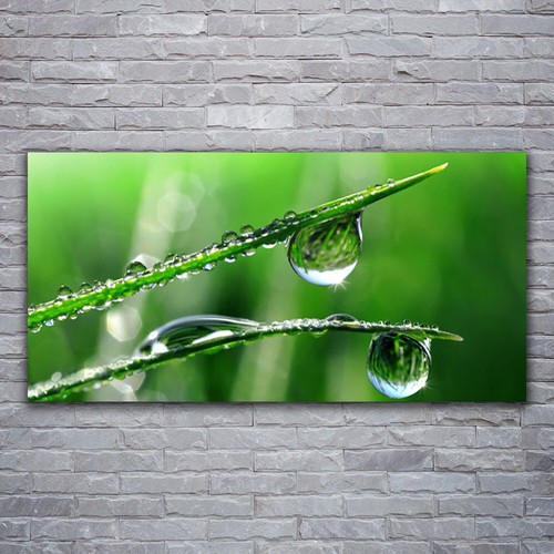 Acrylglasbilder wandbilder - acrylglasbilder,
