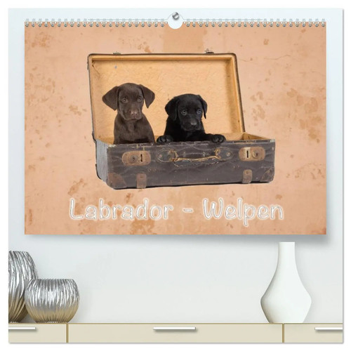 Labrador welpen - labrador,