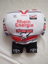 KEC Kölner Haie Kissen