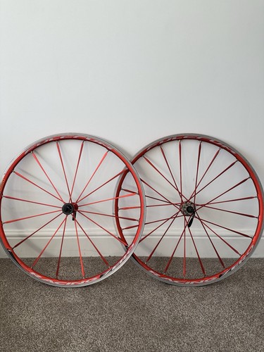 Seltener roter fulcrum - roter,