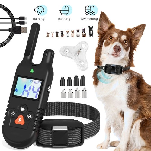 Hunde halsband training - hunde,