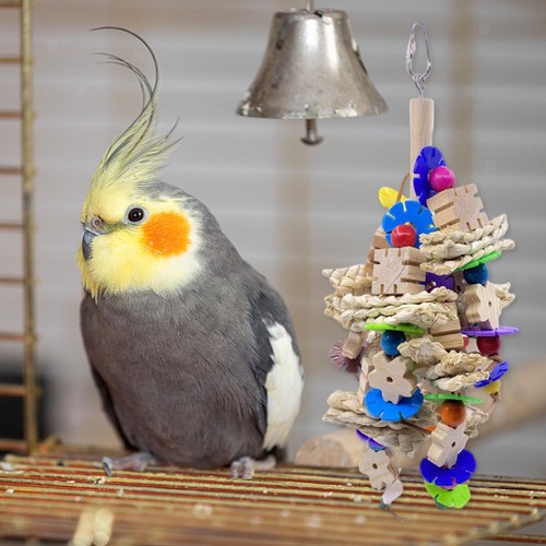 Natur papagei vogel - natur,