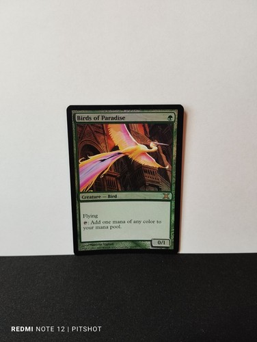 Foil birds paradise - foil, /