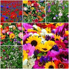 SOMMERBLUMEN WILDBLUMEN SCHMETTERLINGSWIESE BLUMENMISCHUNGEN SAAT SAMEN AUSWAHL