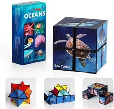 Euklidischer Star Cube Set – Magic Cube, Verwandlungswürfel für Kinder