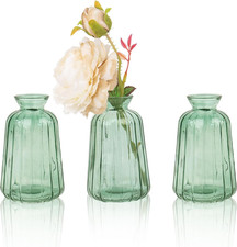 3er-Set Kleine Glasvasen für