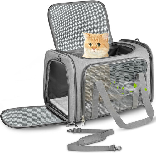 Transporttasche katze hund bis - transporttasche,