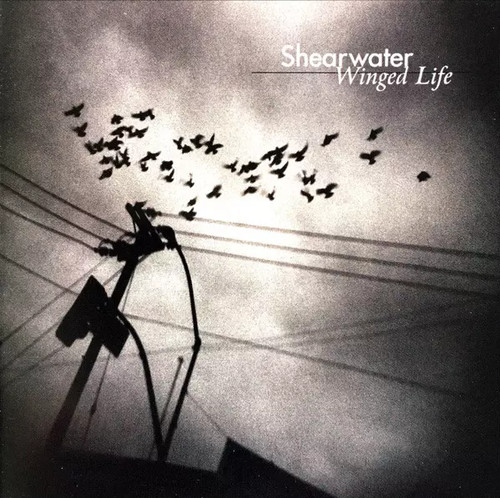 Winged life shearwater - winged,