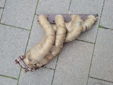 BMW e36 3er Auspuffkrümmer 318is 3981563 Krümmer Abgaskrümmer Fächerkrümmer