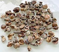 Großes Konvolut Musketenkugeln. 16. bis 18. Jhrt Bodenfunde.