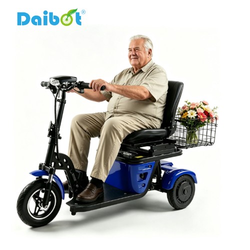 Daibot 500w 36v rad roller - 3, e