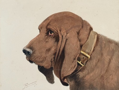 Jagdhund altes aquarell - altes,