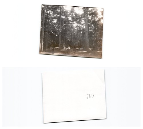 Westerplatte - (b77668a564),