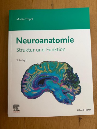 Neuroanatomie struktur und - struktur,