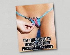 Kühlschrankmagnet. Facebook