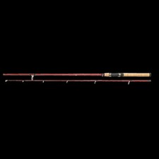 BERKLEY Cherrywood Spinning