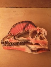 Schädel Aus Harz Dilophosaurus Deko Aquarium 