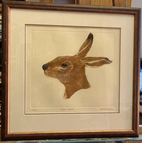 Der hase zeichnung von - hase,