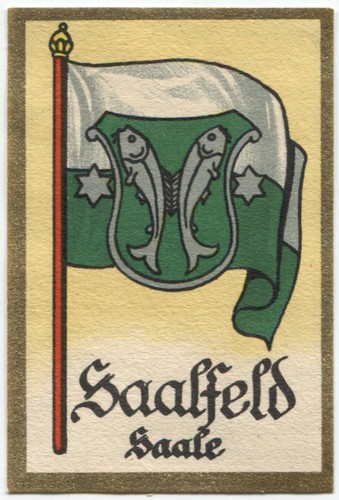 Saalfeld thüringen kosmos - saalfeld,