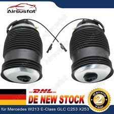 2x Federbalg Hinten Links