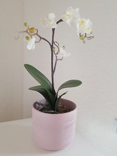 Künstliche Orchidee 40 cm mit Keramik Übertopf rosa Kunstpflanze Pflanze ***