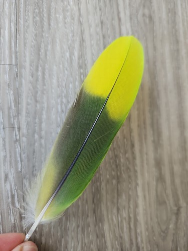 Gelb grün - 14, cm