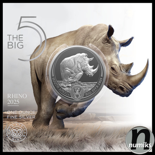Nashorn 2025 südafrika - nashorn,