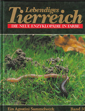 📚 Lebendiges Tierreich *