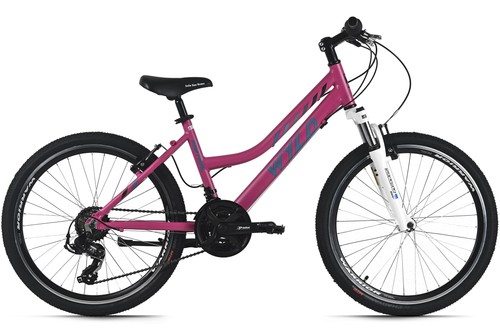 Kinderfahrrad mountainbike - 24",