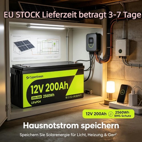 Lifepo4 akku lithium 2560wh - lithium,