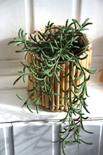 Bambustopf Bambus Topf Pflanztopf Blumentopf Übertopf Handarbeit NiRos Handmade